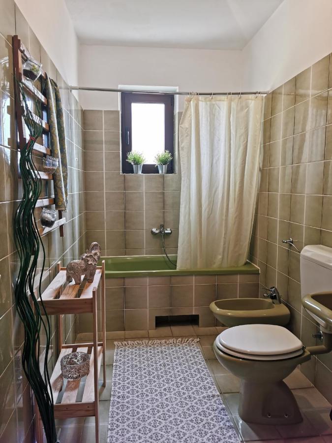 Apartment Lucia